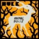 ANIMAL BOISÉ - BUCK