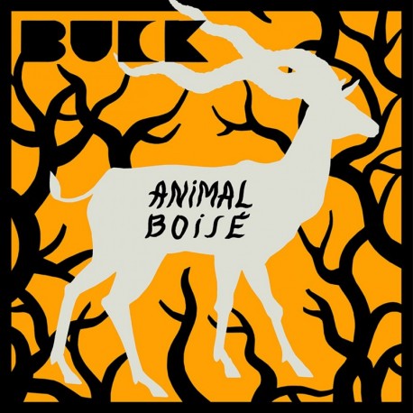 ANIMAL BOISÉ - BUCK