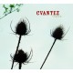 CVANTEZ - Tigers (CD)